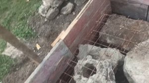 25,26 ноября 2025г.Строю дом. Посадила лук. Продолжаю делать террасу.