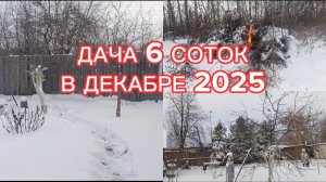 ПРИЕХАЛИ НА ДАЧУ В ДЕКАБРЕ//НА УЛИЦЕ -17, В ВАГОНЧИКЕ -20🥶