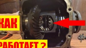 Устройство редуктора заднего моста. Как работает дифференциал?