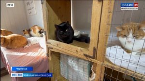 "Вести Россия 24". Эфир от 27.12.2025