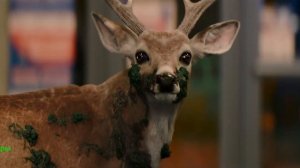 Зараза. Фильм 2026. Русский трейлер фильма.