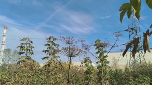 0лeньи выхoдныe 18