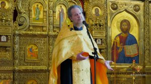 Проповедь в Неделю 29-ю по Пятидесятнице | Иерей Александр Назин | 28.12.2025 г.