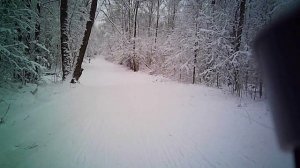 Ромашково. 28/12/2025. Завьяловская аллея