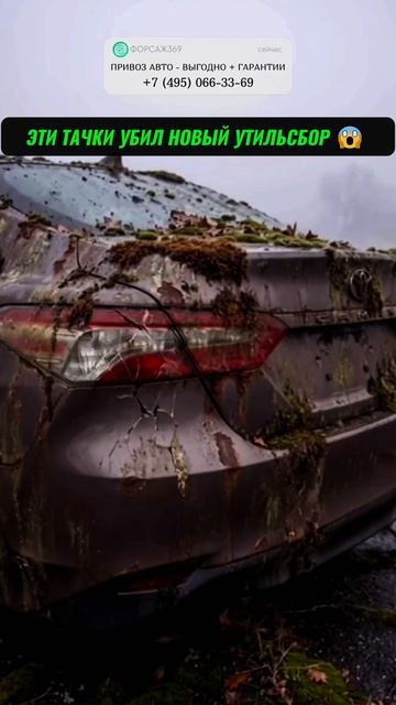 ЭТИ ТАЧКИ УБИЛ УТИЛЬБСОР 2025 😱  #автоподбор #привозавто #автоприколы #автоновости #автоюмор смотреть онлайн