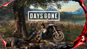 Days Gone прохождение - Неро #3