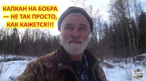 Охота на бобра с капканами. Установка капканов на бобра в заболоченной речке