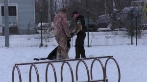 ПРК_Моншер Вирсаль Гвидон