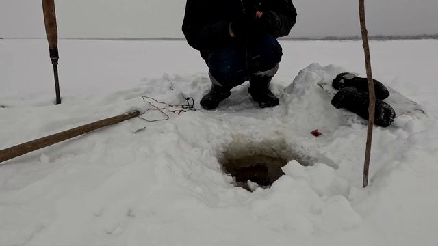 Проверка удочек. 26 день. Язь на силикон. смотреть онлайн