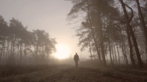 Свистопляска чувств