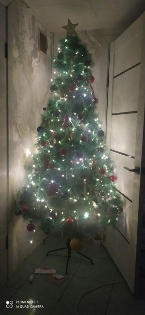 новый год и хомячки