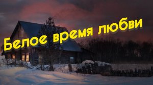 БЕЛЫЙ КОТЁНОК #авторская_песня 28-12-2025