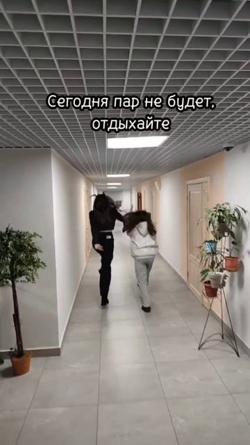 Мечта каждого студента