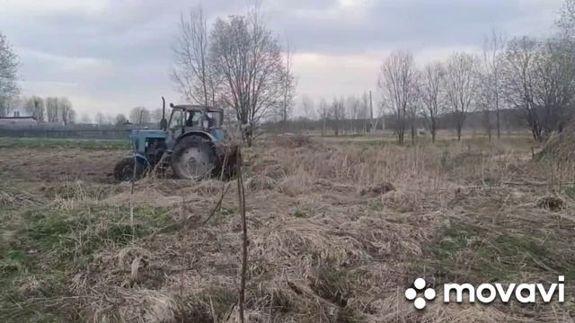 МТЗ 52 вытаскивает МТЗ 82