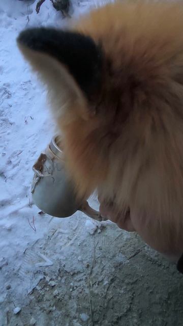 #утроначинаетсяскофе смотреть онлайн