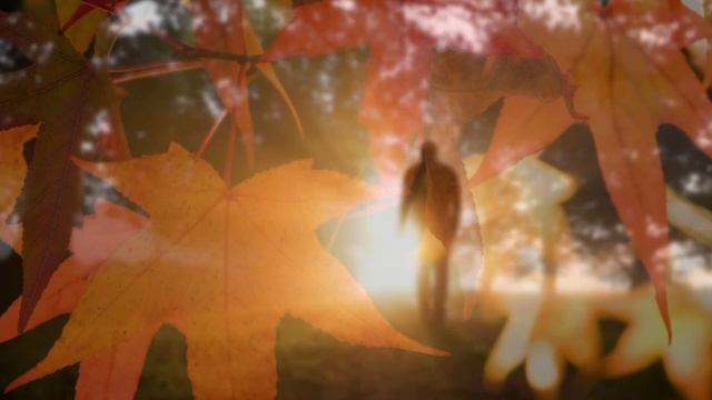 Вдруг осень смотреть онлайн