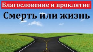 Избери жизнь ♥️🙏 Проповедь МСЦ ЕХБ