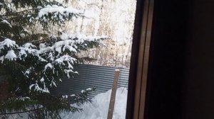 весёлый обед