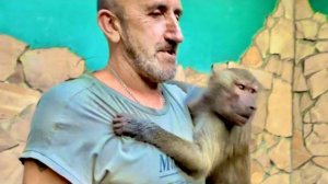 Анфиса по-моему вообще ничего не боится, а у Люси начал ПОРТИТЬСЯ ХАРАКТЕР))(