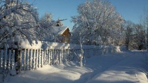 Белым снегом . Поёт Валентина Дробышева. Гармонь  Анатолий Чижов.