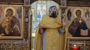 Проповедь иерея Александра Пржегорлинского 28.12.25