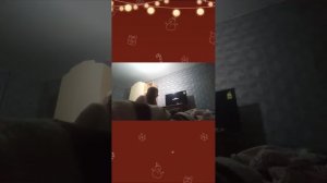 MOV_20251228_232107_318.mp4