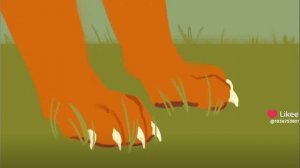 Бич/meme/Коты воители