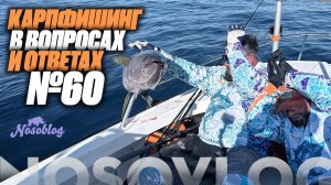 Карпфишинг в вопросах и ответах #60, Колесников Артём и Пётр Миненко