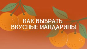 Как выбрать вкусные мандарины