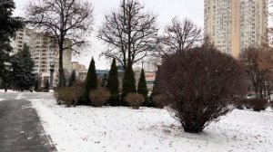 Украина 27 декабря! Что сегодня происходит в Киеве