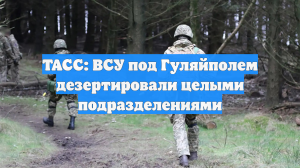 ТАСС: ВСУ под Гуляйполем дезертировали целыми подразделениями