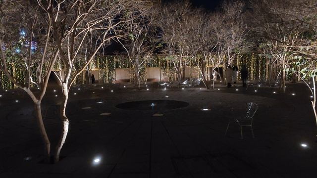 новогодний парк Краснодар 2026 | у фонтана 6ч смотреть онлайн