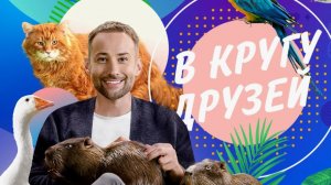 В кругу друзей от 28.12.2025 анонс, что будет в эфире