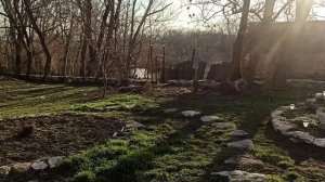 10,11 марта 2025г.Мой дом. Наконец работаю на улице, почти лето))