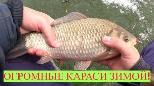 ОГРОМНЫЕ КАРАСИ РВУТ ЛЕСКУ ЗИМОЙ! ЗИМНЯЯ РЫБАЛКА НА КАРАСЯ. ПОПАЛ НА КРУПНОГО КАРАСЯ ЗИМОЙ.