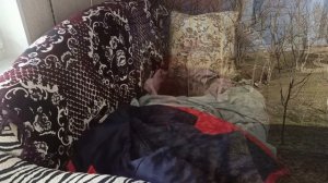 15 февраля 2025 г. Мой дом. Один теплый день, перед очередной зимой