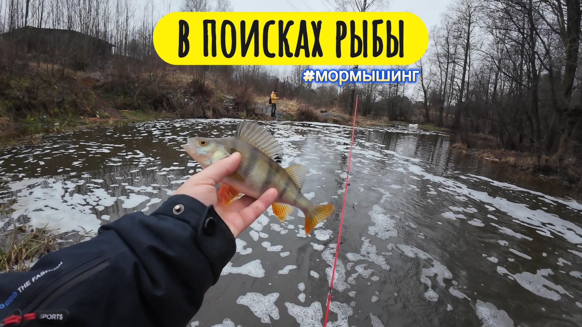 Ищем предновогоднюю рыбу смотреть онлайн