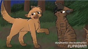 Заездоцап и Саша/Мап/Коты воители