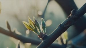 Март-пора таянья снегов