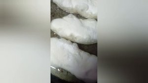 Вот такой у меня сегодня обед