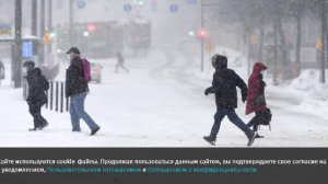 В Финляндии из-за снежной бури пострадали 160 тыс. домохозяйств и два самолета