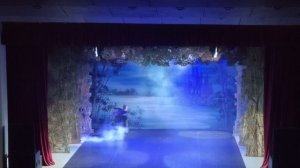 VID2025 Сегодня я был на Балете Лебединое озеро