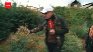 Джентльмен у ДАЧИ в гостях. Участок в Ермолаево