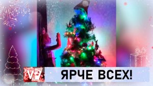 ВОЛГОГРАДЦЫ ВЫБИРАЮТ ЛУЧШУЮ НОВОГОДНЮЮ ЕЛКУ