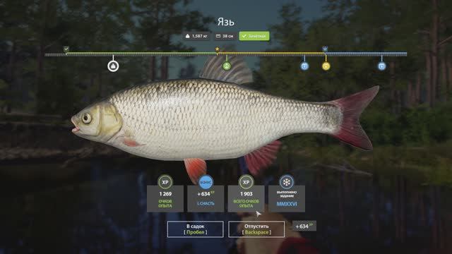 Русская рыбалка 4 Новогодние задания 2026 смотреть онлайн