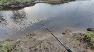 Тестируем новинку