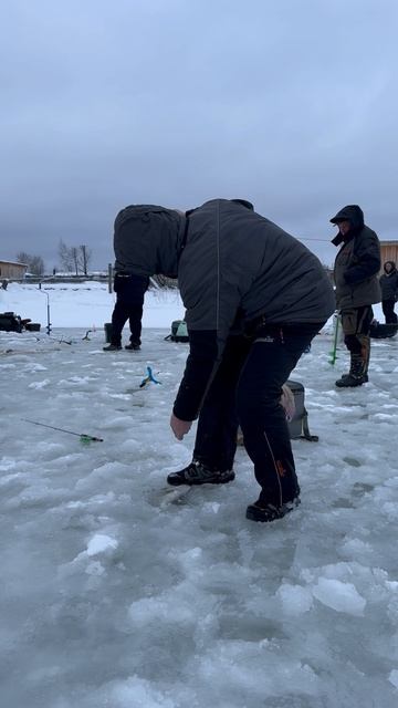 Маленькая форель лучше крупного рака смотреть онлайн