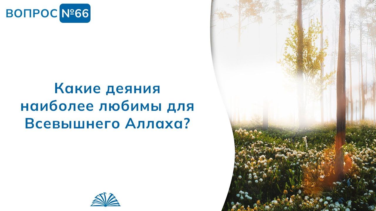 Вопрос № 66. Какие деяния наиболее любимы для Всевышнего Аллаха? | Абу Яхья Крымский смотреть онлайн