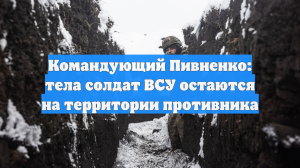 Пивненко объяснил невозможность вывоза тел солдат ВСУ контролем России