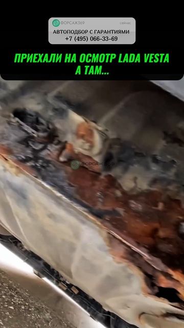 ПРИЕХАЛИ НА ОСМОТР VESTA, А ТАМ 😱  #автоподбор #привозавто #автоприколы #автоновости #автоюмор смотреть онлайн
